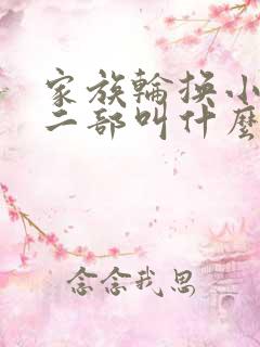 家族轮换小说第二部叫什么名字