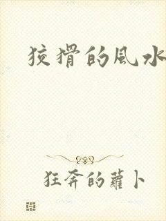 狡猾的风水先生