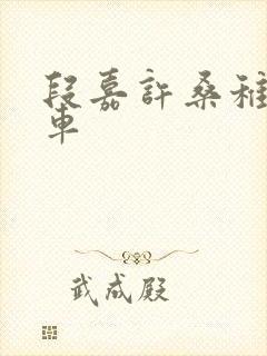 段嘉许桑稚浴室车