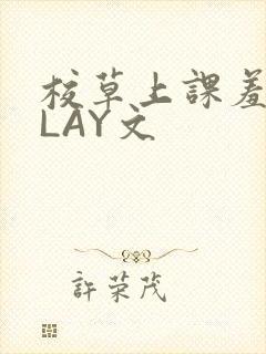 校草上课羞耻PLAY文