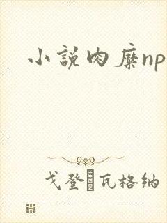 小说肉糜np