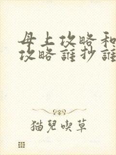 母上攻略和韵母攻略谁抄谁