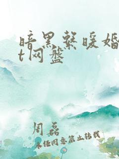 暗黑系暖婚txt网盘