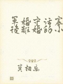 军婚守活寡重生后离婚的小说