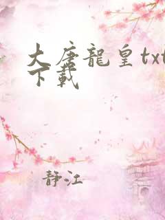 大唐龙皇txt下载