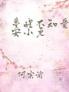 梦醒不知爱欢凉安小免