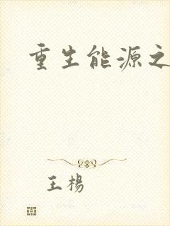 重生能源之王