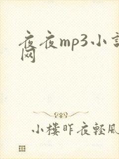 夜夜mp3小说网