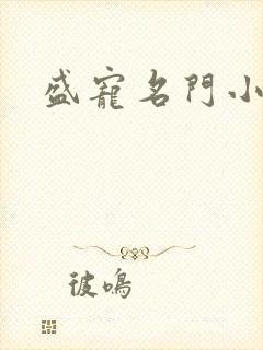 盛宠名门小夫人