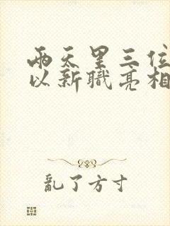 两天里三位将军以新职亮相