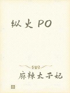 纵火 PO