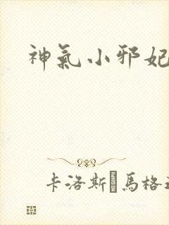 神气小邪妃