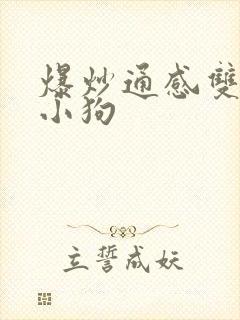 爆炒通感双胞胎小狗