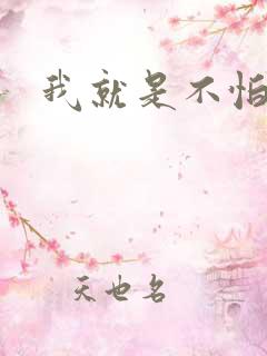 我就是不怕小说