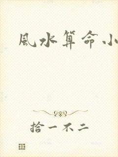 风水算命小说