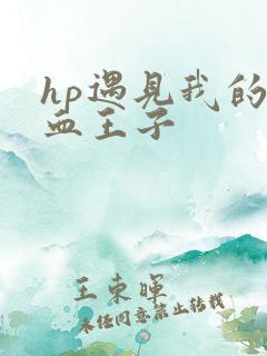 hp遇见我的混血王子