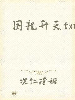 困龙升天txt
