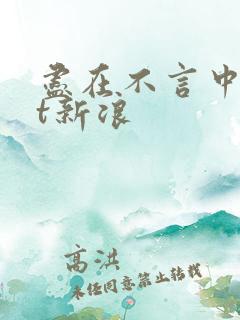 尽在不言中txt新浪