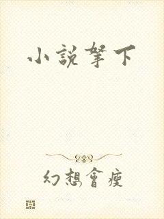 小说拿下