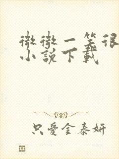 微微一笑很倾城小说下载