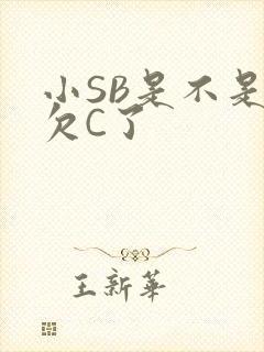小SB是不是又欠C了