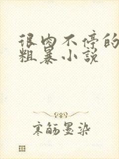 很肉不停的做很粗暴小说