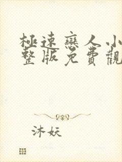 极速恋人小说完整版免费观看