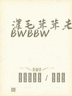 浓毛茸茸老太BBWBBW