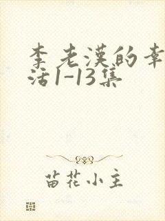 李老汉的幸福生活1-13集