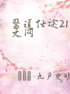 医道仕途21中文网