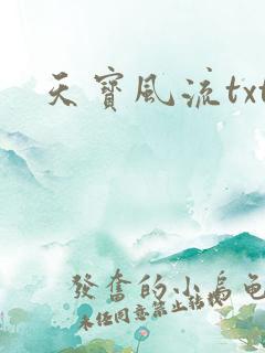 天宝风流txt