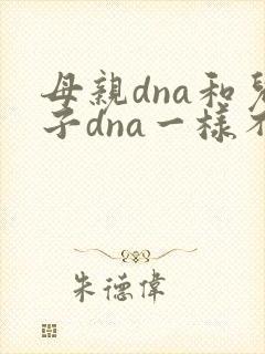 母亲dna和儿子dna一样不