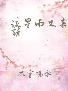 流星雨又来临小说