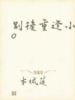 别后重逢小说po