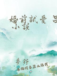 婚前试爱 吕颜 小说