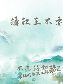 摄政王不要