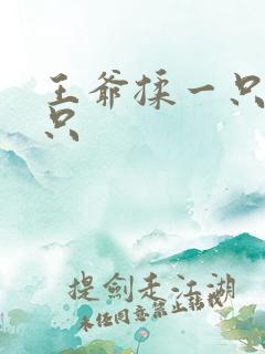 王爷揉一只舔一只