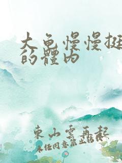 大龟慢慢挺进我的体内