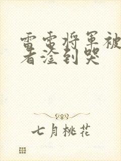 雷电将军被旅行者淦到哭