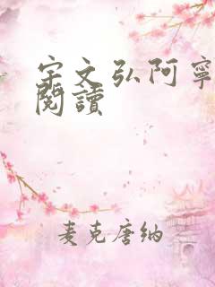 宇文弘阿宁全文阅读