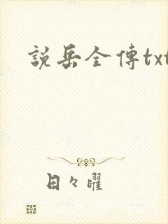 说岳全传txt