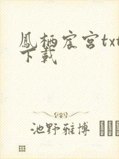 凤栖宸宫txt下载