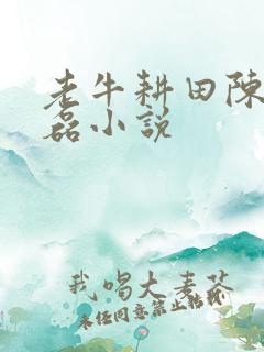 老牛耕田陈雪王磊小说