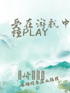 受在游戏中被各种PLAY