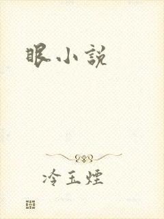 眼小说