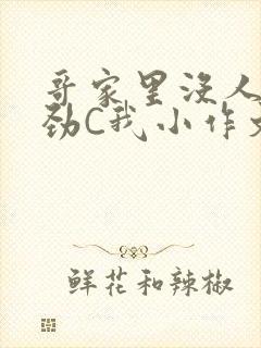 哥家里没人使点劲C我小作文小说