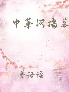 中华网揭幕内参