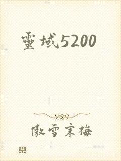 灵域5200