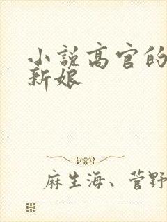 小说高官的暗夜新娘