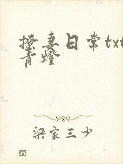 撩妻日常txt青灯